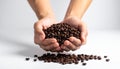 Hands spilling roasted coffee beans onto a white surface falling Royalty Free Stock Photo