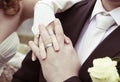 Hands with silver wedding rings Royalty Free Stock Photo