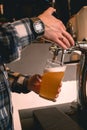 Hands of skilled bartender pouring unfiltered craft beer from tap into glass Royalty Free Stock Photo