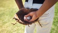 Hands so skilled theyd be insured for millions. a man standing on a field and holding a baseball mitt and ball at a Royalty Free Stock Photo