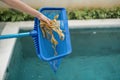 Hands with skimmer net equipment cleaning swimming pool