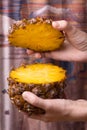 Hands with sliced pineapple Royalty Free Stock Photo