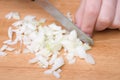 Hands slicing onion.