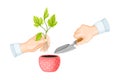 Hands with Spade Cultivating Plant and Soil in Flower Pot Vector Illustration