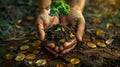 in the hands of a sprout and coins. Selective focus Royalty Free Stock Photo