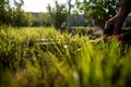 Hands take scissors and Cutting Fresh Grass. Royalty Free Stock Photo