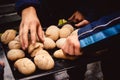 Hands taking out home made small wheat corn breads out of stove