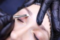 Hands of the tattoo artist close up emphasize the contour of the eyebrows with a brush