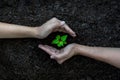 Hands Team Work protecting tree growing for reduce global warming earth. Royalty Free Stock Photo