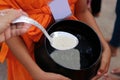 Hands of Thai people put food offering in Buddhist monk`s alms bowl in Songkran festival Day. Selective focus and shallow depth of Royalty Free Stock Photo