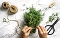 Hands tie bouquet of fresh thymes on light marble background with skein of jute twine. Thyme herb bunch. Top view Royalty Free Stock Photo