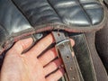 Hands tighten the buckle on the english saddle