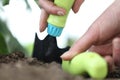 Hands with tools work the soil in the garden