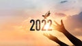 .Hands touching of new year 2022 silhouette with flying of free bird enjoying nature on sunset background, Happy New Year concept Royalty Free Stock Photo