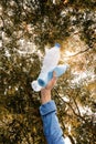 Hands of a tourist or volunteer Collecting trash from plastic.