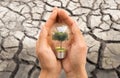 Hands with tree inside light bulb over dry ground Royalty Free Stock Photo