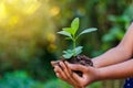 In the hands of trees growing seedlings. Bokeh green Background Female hand holding tree on nature field grass Forest conservation Royalty Free Stock Photo