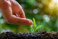 In the hands of trees growing seedlings. Bokeh green Background Female hand holding tree on nature field grass Forest conservation Royalty Free Stock Photo