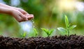 In the hands of trees growing seedlings. Bokeh green Background Female hand holding tree on nature field grass Forest conservation Royalty Free Stock Photo