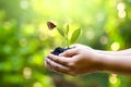 In a mobile, a green seedling is ready to be planted and a light brown butterfly settles on it in a beautiful nature.