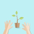 Hands try to holding young plant with Happy Earth Day text, paper cut style Ecology and Earth day concept Royalty Free Stock Photo