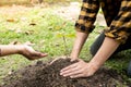 The hands of two people help each other are planting young seedlings on fertile ground, taking care Royalty Free Stock Photo