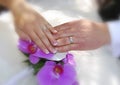 Hands with two white gold wedding rings on purple orchids Royalty Free Stock Photo