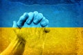 Hands on Ukrainian Flag Royalty Free Stock Photo