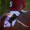 Hands and uniform of a jockey. Race horse in racing competition. Jockey on racing horse. Sport. Champion. Hippodrome