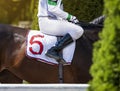 Hands and uniform of a jockey. Race horse in racing competition. Jockey sitting on racing horse. Sport. Champion Royalty Free Stock Photo