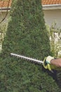 Hands of unknown man in gloves are trimming the overgrown green thuja with electric hedge trimmer on backyard of his Royalty Free Stock Photo
