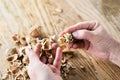 Hands of unrecognizable woman cracking walnuts, wooden table Royalty Free Stock Photo