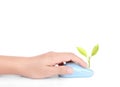 Hands using mouse with plant Royalty Free Stock Photo