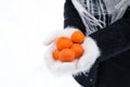 Hands in warm white mittens hold tangerines in winter