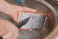 Hands washing and cleaning salmon fish over kitchen sink Royalty Free Stock Photo