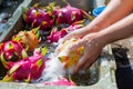 hands washing colorful pitayas dragon fruit in a basin Royalty Free Stock Photo