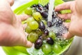 Hands washing a fresh grapes Royalty Free Stock Photo