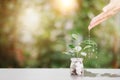 Hands watering down the tree in the glass jar, financial and investment growth concept, sustainable income and profit development Royalty Free Stock Photo