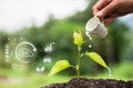 Hands watering the plants. Tree maintenance, forest conservation concept Technology of renewable resources to reduce pollution. Royalty Free Stock Photo