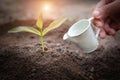 Hands are watering, the seedling will be a healthy plant. World Environment Day concept: Care for seedlings to grow Royalty Free Stock Photo