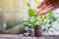 Hands watering young baby plants growing on top coins.