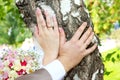 Hands with wedding rings Royalty Free Stock Photo
