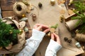 Hands in a white sweater pack a gift for Christmas and new year in eco-friendly materials: kraft paper, live fir branches, cones, Royalty Free Stock Photo