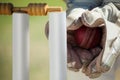 Hands of wicketkeeper catching ball behind stumps Royalty Free Stock Photo