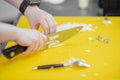 Hands woman chef cut knife with garlic and onion on cutting board closeup Royalty Free Stock Photo