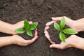 The hands of the woman and child to plant the seedlings in the soil,Seedlings are growing from abundant soil, plant a tree, reduce Royalty Free Stock Photo