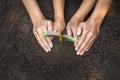 The hands of the woman and child to plant the seedlings in the soil,Seedlings are growing from abundant soil, plant a tree, reduce Royalty Free Stock Photo