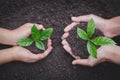 The hands of the woman and child to plant the seedlings in the soil, plant a tree, reduce global warming, World Environment Day Royalty Free Stock Photo