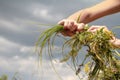 Hands of woman crafting the wreath of wildflowers on a blue cloudy sky