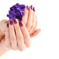 Hands of a woman with dark manicure on nails and bouquet of violets on a white background Royalty Free Stock Photo